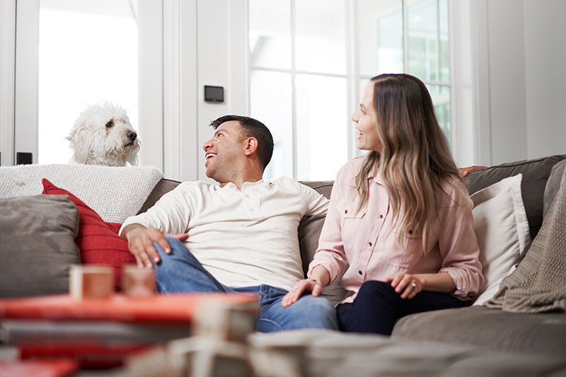 How Come Air Purifiers Relieve Allergies?